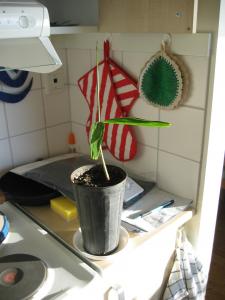 post-10152-0-56539400-1437377258_thumb.j