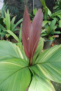 post-1017-0-08428300-1410099047_thumb.jp