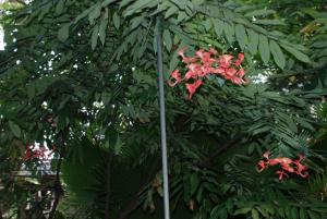 post-1017-0-08570000-1393253464_thumb.jp