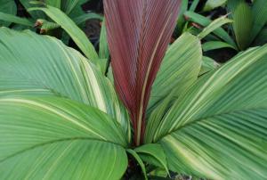 post-1017-0-14092500-1410099060_thumb.jp