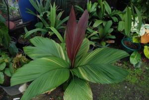 post-1017-0-23802700-1434033559_thumb.jp