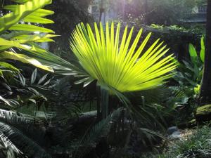 post-1017-0-28809400-1341276626_thumb.jp