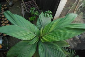 post-1017-0-81946300-1434033515_thumb.jp