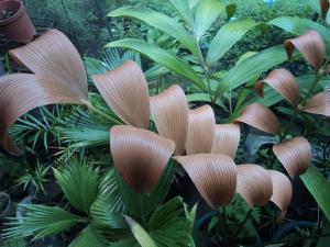 post-1017-0-82362700-1375088572_thumb.jp