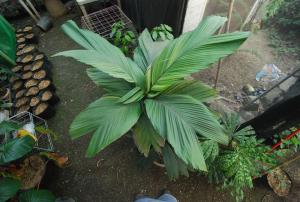 post-1017-0-85347600-1434033511_thumb.jp