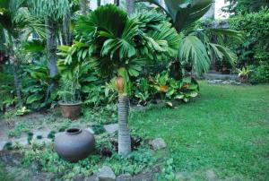 post-1017-0-87910400-1428072485_thumb.jp