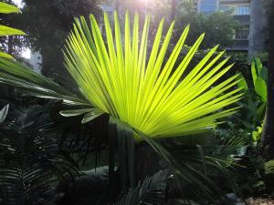 post-1017-0-88389800-1341277162_thumb.jp