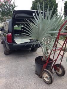 post-10302-0-65031900-1434726422_thumb.j