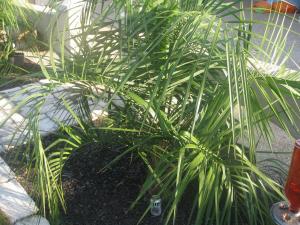 post-10302-0-68818200-1440597523_thumb.j