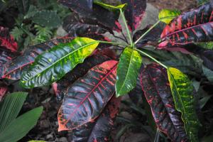 post-1035-0-11991900-1413168236_thumb.jp