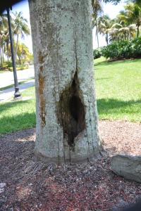 post-1035-0-30916200-1398396989_thumb.jp