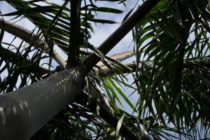 post-1035-0-31477500-1340887538_thumb.jp