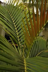 post-1035-0-34542400-1354028621_thumb.jp