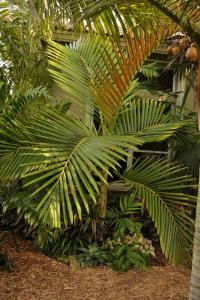 post-1035-0-54248800-1354028598_thumb.jp