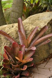 post-1035-0-57120700-1387546994_thumb.jp