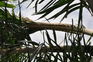 post-1035-0-91753000-1340887555_thumb.jp