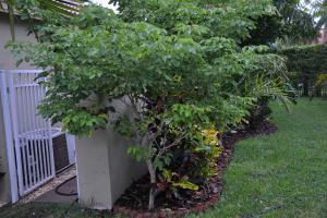 post-1035-003476000 1314236562_thumb.jpg