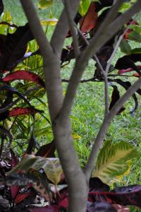 post-1035-067198400 1314236657_thumb.jpg