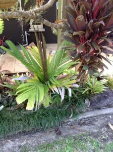 post-10505-0-43587500-1433551408_thumb.j