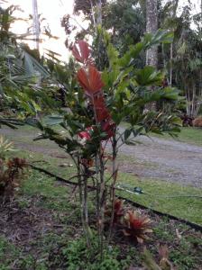 post-10505-0-70590300-1410166531_thumb.j