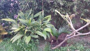 post-10546-0-34127000-1439639044_thumb.j