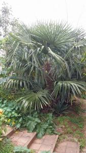 post-10546-0-67423700-1411620592_thumb.j