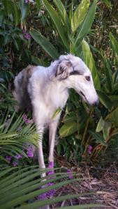 post-10546-0-69829900-1424844679_thumb.j