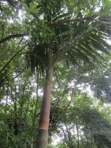 post-10608-0-75520100-1441288681_thumb.j