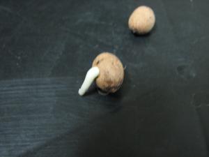 post-108-1206805039_thumb.jpg