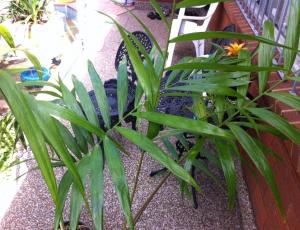 post-11096-0-43691300-1423288553_thumb.j