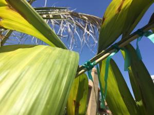 post-11191-0-19296200-1429219122_thumb.j