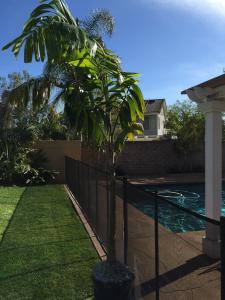 post-11191-0-69645500-1429155785_thumb.j