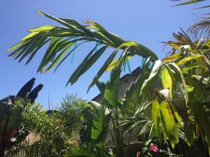 post-11191-0-76313400-1429219190_thumb.j