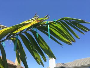 post-11191-0-79730400-1429219156_thumb.j