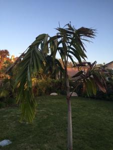 post-11191-0-82808500-1429156008_thumb.j