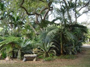 post-112-003133200 1330717899_thumb.jpg