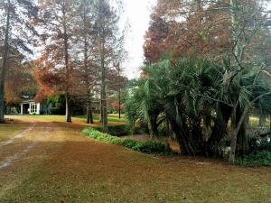 post-1207-0-33577600-1417655338_thumb.jp