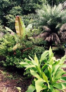 post-1207-0-92418000-1435529211_thumb.jp