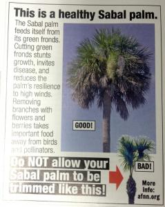 post-1207-0-93900300-1369063571_thumb.jp