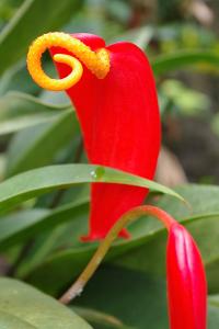 post-1234-008134600 1313053372_thumb.jpg