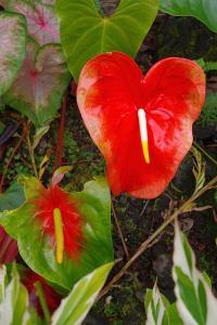 post-1234-010696600 1313753095_thumb.jpg