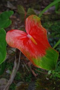 post-1234-011400600 1321359118_thumb.jpg