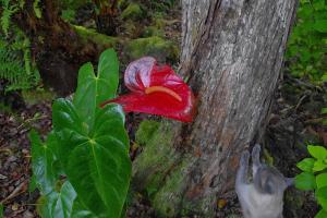 post-1234-013335200 1313643742_thumb.jpg