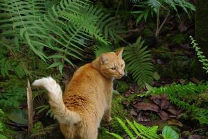 post-1234-015533200 1313493445_thumb.jpg