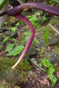 post-1234-027907400 1315031090_thumb.jpg