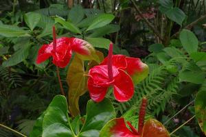 post-1234-036566800 1323063400_thumb.jpg