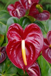 post-1234-047692500 1312771701_thumb.jpg