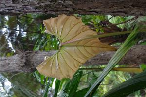 post-1234-048556800 1313218979_thumb.jpg