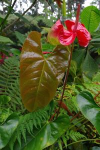 post-1234-049625400 1323063432_thumb.jpg