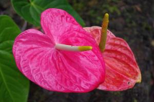 post-1234-058776900 1321359405_thumb.jpg